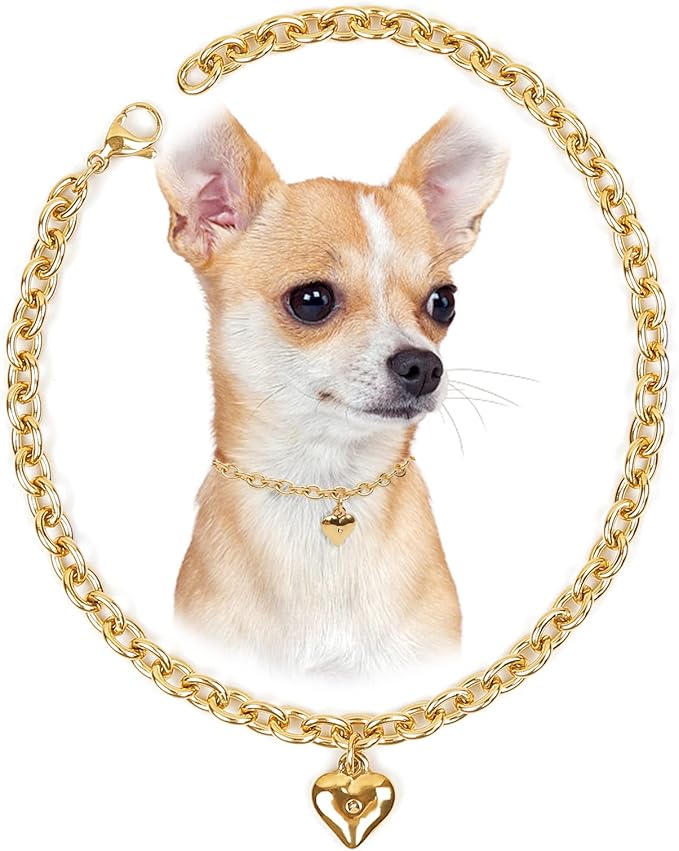 HOWWFALY Dog Collar and Cat Chain Necklace Stainless Steel Adjustable 18K Gold by HOWWFALY