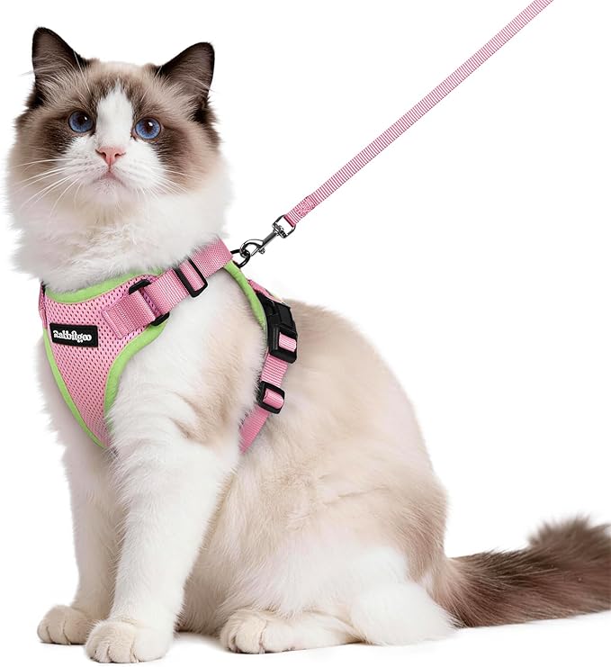 rabbitgoo Cat Harness and Leash by rabbitgoo