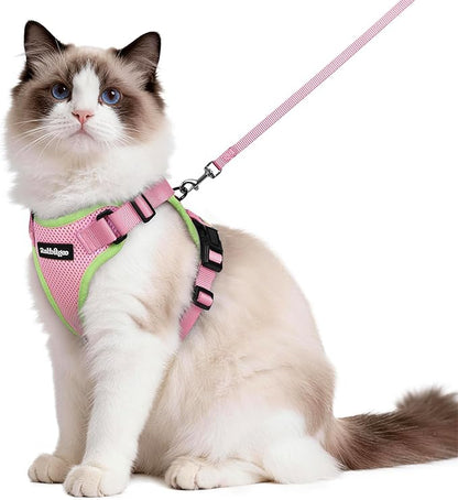 rabbitgoo Cat Harness and Leash by rabbitgoo