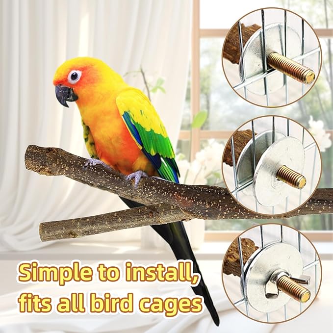 8-Piece Set Natural Wood Bird Perches - Image 4