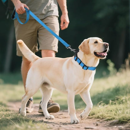 Joytale Reflective Dog Collar, Soft Neoprene Padded, Metal D-Ring, Nylon Pet - Image 6