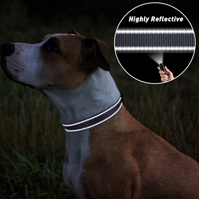 TagME Reflective Nylon Dog Collars, Adjustable Classic Pet Collar - Image 5
