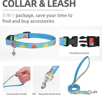 PUPTECK Adjustable Dog Harness Collar and Leash Set Step in No Pull Pet Harness - Image 4