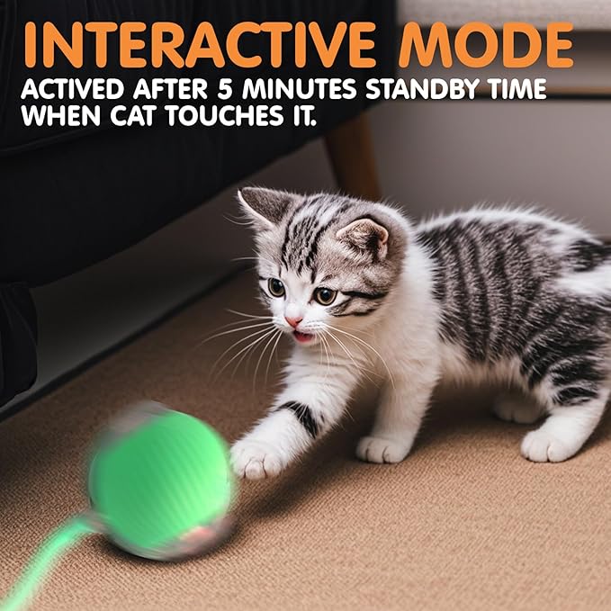 Rocfish Durable Interactive Cat Toys - Image 6