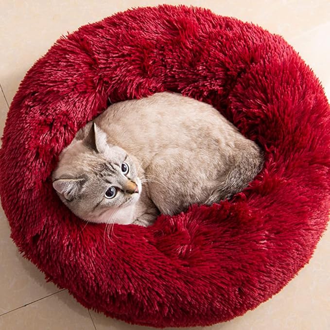 Cat Beds for Indoor Cats by Unknown