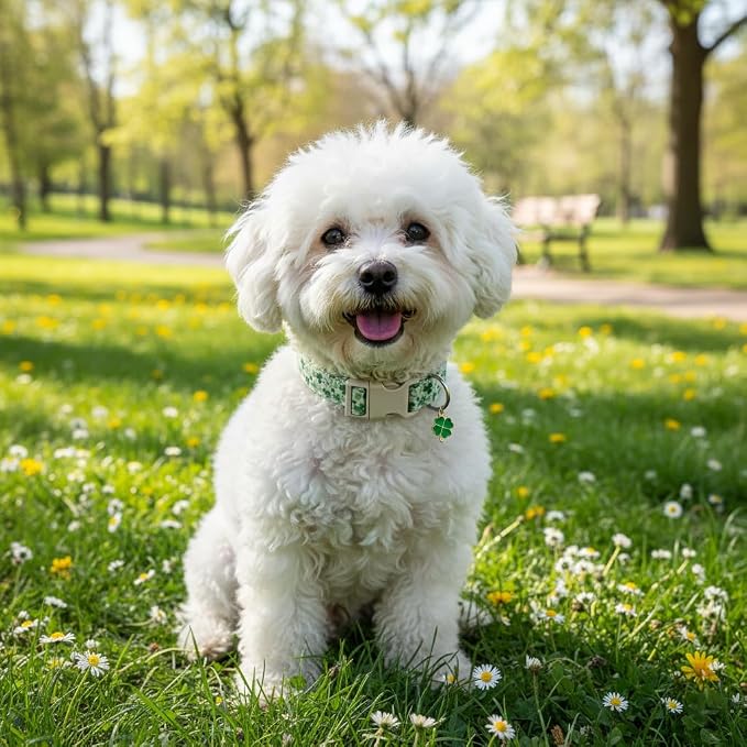 St. Patrick's Day Dog Collar, Cute Dog Collar - Image 4
