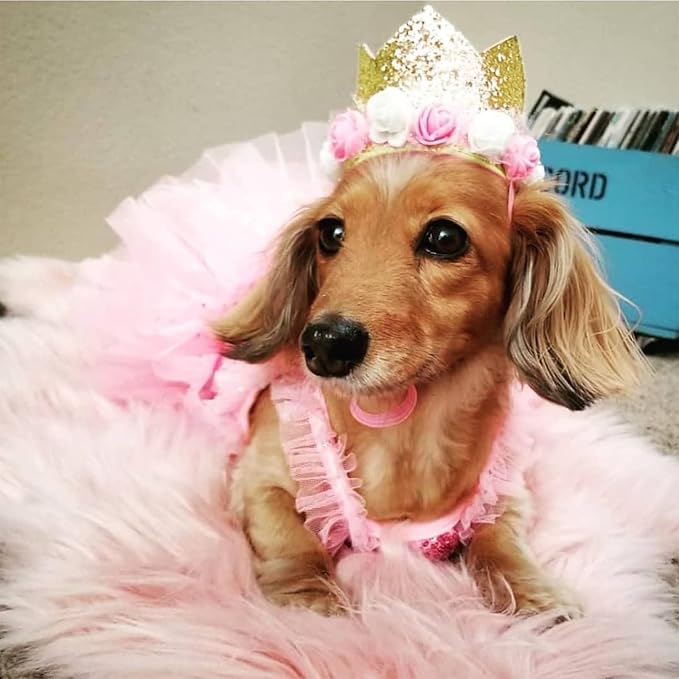 Dog Birthday Crown Hat - Image 4