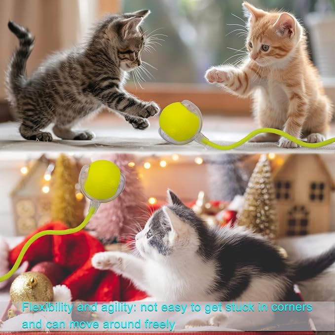 Interactive Cat Dog Toy Ball: Indoor Small Automatic Moving Smart Rolling Fun - Image 8