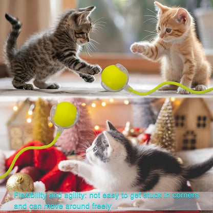 Interactive Cat Dog Toy Ball: Indoor Small Automatic Moving Smart Rolling Fun - Image 8