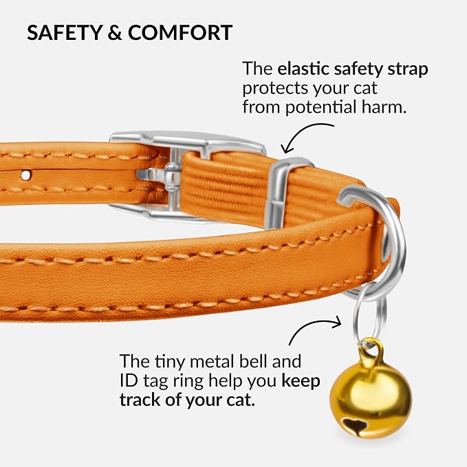 CollarDirect Leather Cat Collar - Image 4