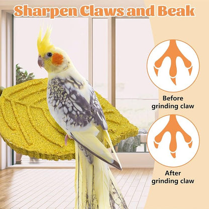 3 Pcs Bird Perch Resin Bird Beak Grinding Stone Leaf Shape Perch Stand Foot - Image 5
