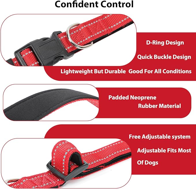 Reflective Dog Collar Padded - Image 4