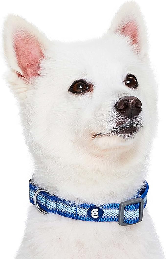 Blueberry Pet Large Dog Collar in Reflective Navy Blue | Adjustable Classic - Image 3