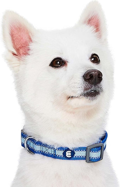 Blueberry Pet Medium Dog Collar in Reflective Navy Blue | Adjustable Classic - Image 3
