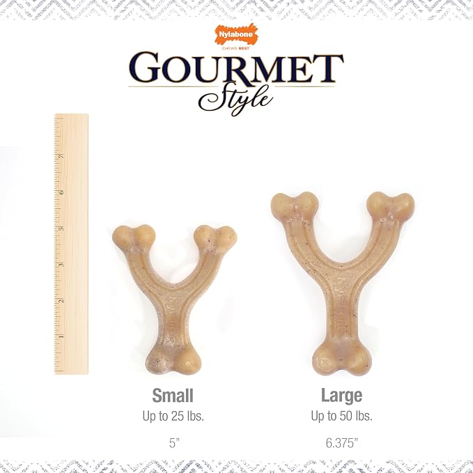 Nylabone Gourmet Style Wishbone Strong Chew Toy - Image 4