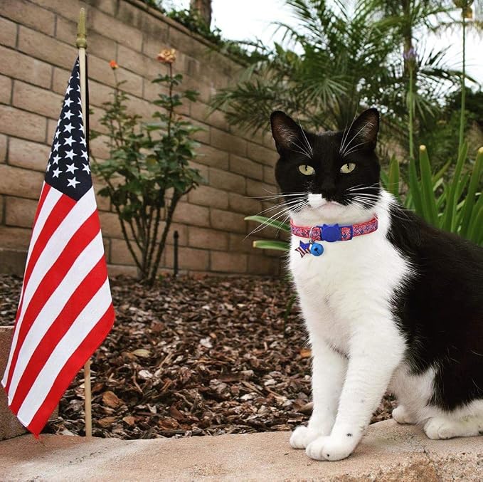 BoomBone Patriotic Cat Collar Breakaway - Image 4