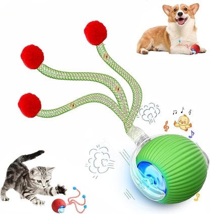Speed 2.0 Tail Interactive Cat Toys by Unknown