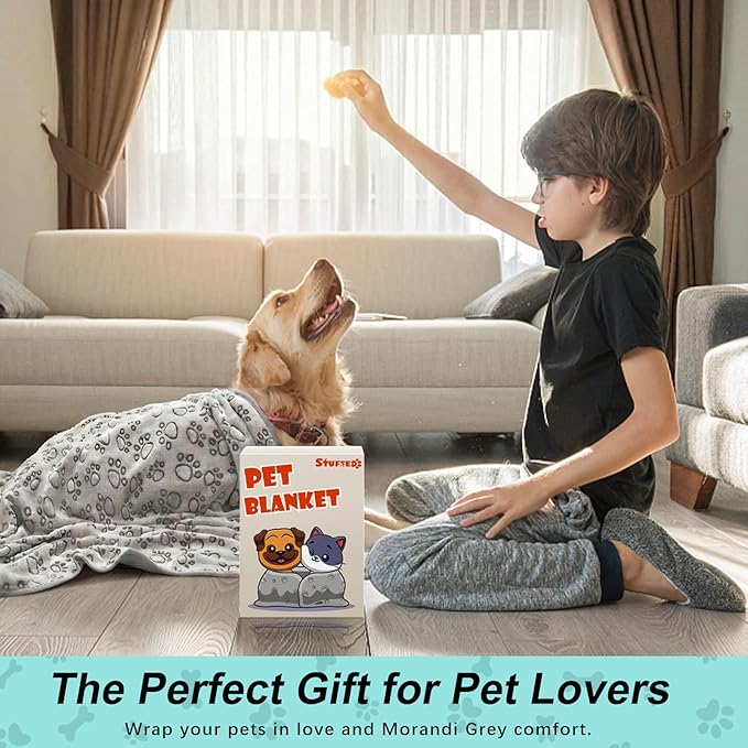Stuffed Premium Soft Dog Blanket, - Image 4