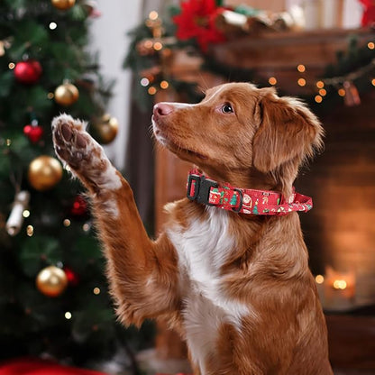 DAGANXI Christmas Tactical Dog Collar, Adjustable Military Training Nylon Dog - Image 6