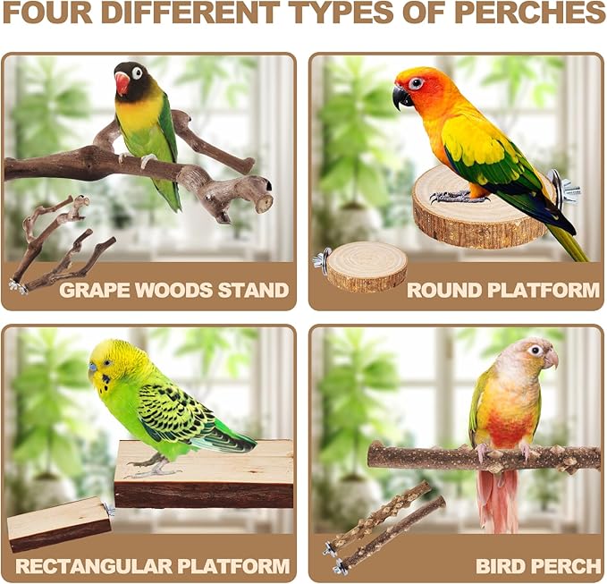 6-Piece Bird Perch Set - Image 4