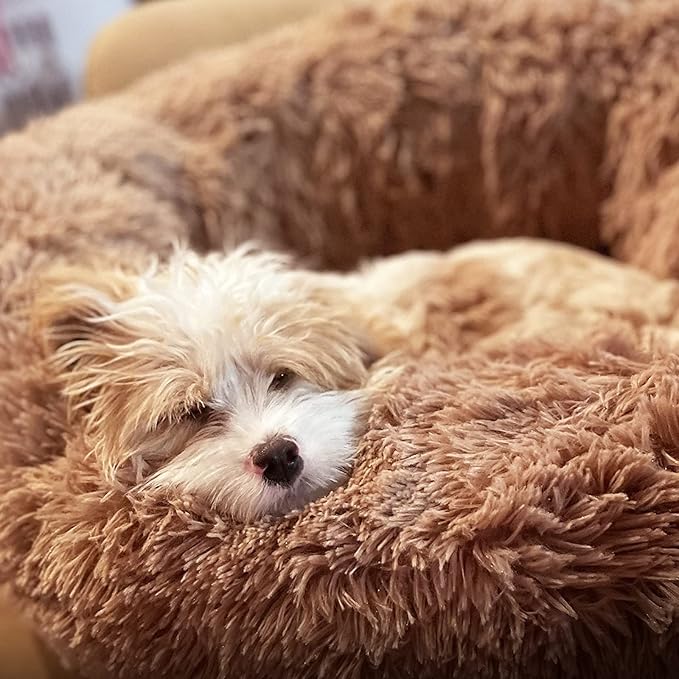 Calming Donut Dogs Beds for Small Dogs Washable, 19inch Fluffy Round Puppy Bed - Image 5