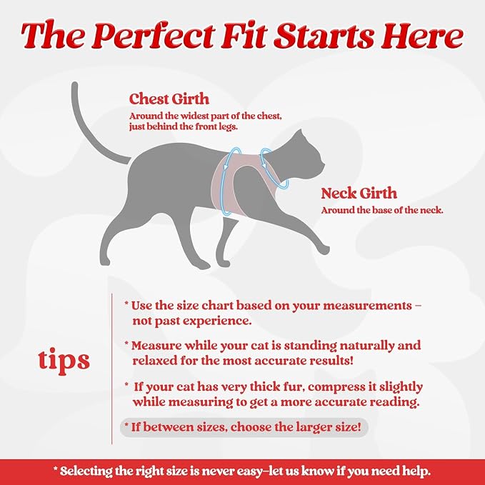 rabbitgoo Cat Harness and Leash Set - Image 2