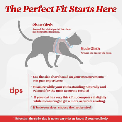 rabbitgoo Cat Harness and Leash Set - Image 2