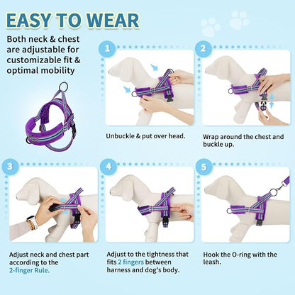 SlowTon No Pull Small Dog Harness and Leash Set, Puppy Soft Vest Harness Neck & - Image 9