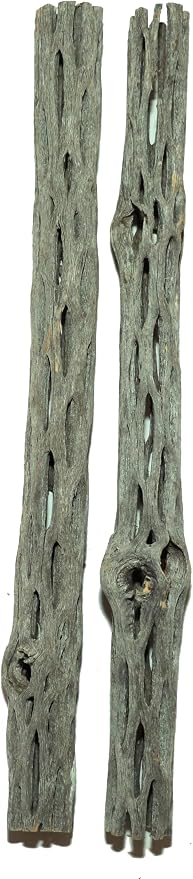 Natural Cholla Wood for Aquarium Decoration Shrimp and Fish Tank) by SoShrimp