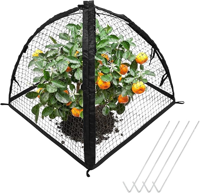 Strawberry Plant Protector, Plant Protection Tent by RETOONGKING