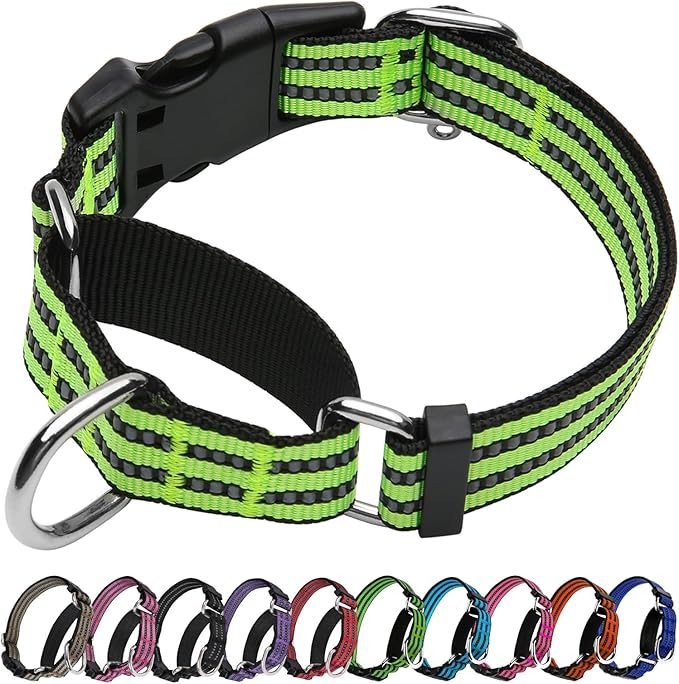 Martingale Dog Collar, Adjustable Nylon Reflective Collar by JOYEEIIOO