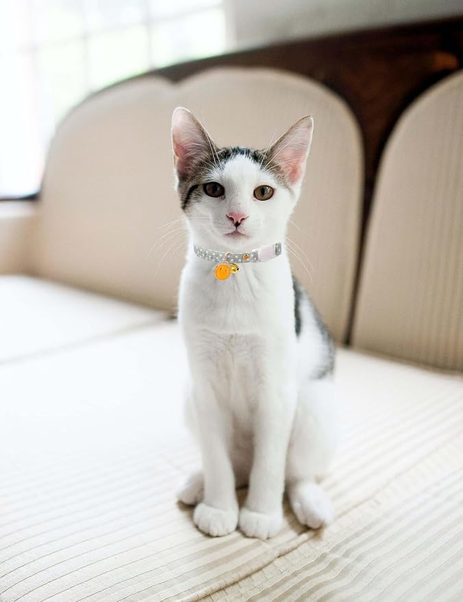 Cat Collar Breakaway with Bells, 3 Pack Safety Adjustable Pet Collars - Image 6