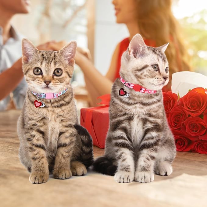 Breakaway Cat Collars for Girl Boy Cats, Fall Winter All Weather Cat Collar - Image 3