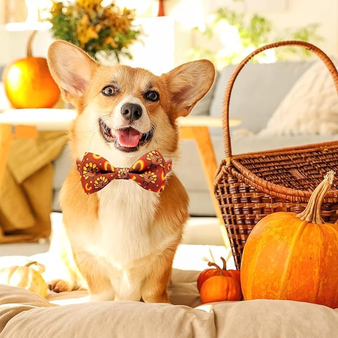 Thanksgiving Dog Collar with Bow Tie Set, Holiday Turkey Pattern Pet Collar - Image 5