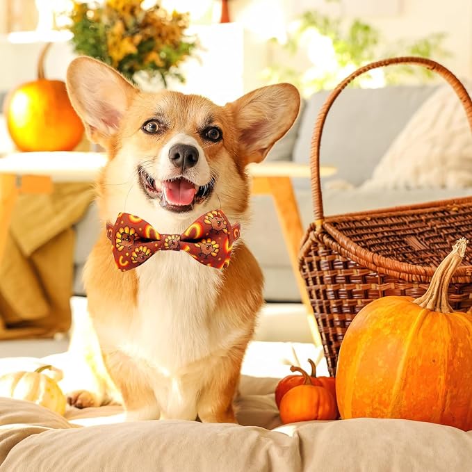 Thanksgiving Dog Collar with Bow Tie Set, Holiday Turkey Pattern Pet Collar - Image 5