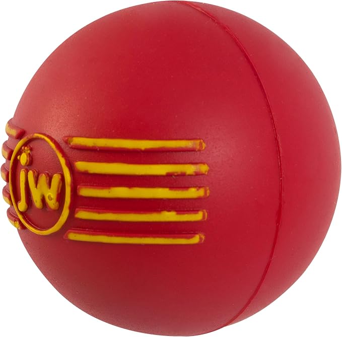 JW Squeak-ee Ball Puppy Toy - Image 8