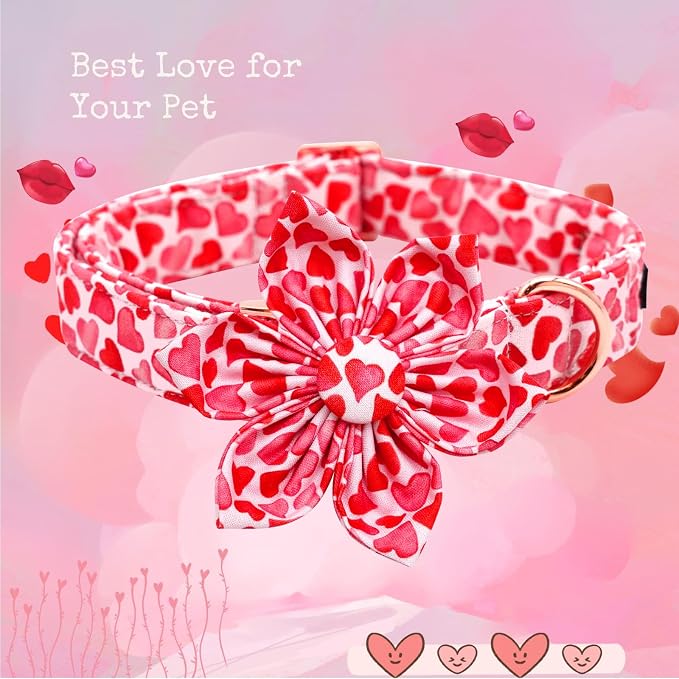 Lionheart glory Valentine's Day Dog Collar - Image 4