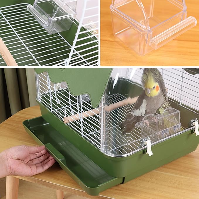 Transparent Small Bird - Image 7