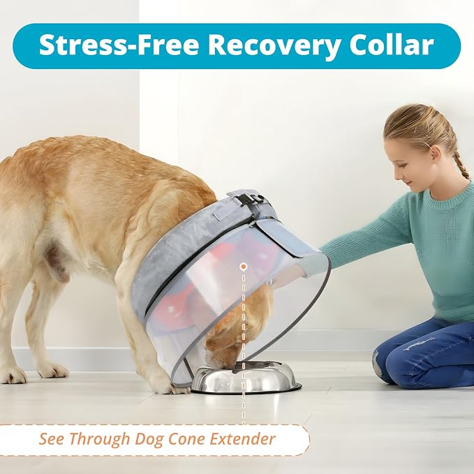 Inflatable Dog Cone with Transparent Shield, Protective Dog Donut Collar After - Image 6
