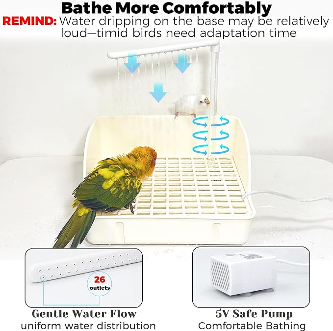 Automatic Parakeet Bird Bath - Image 4
