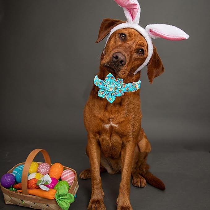Lionheart glory Easter Day Dog Collar - Image 5
