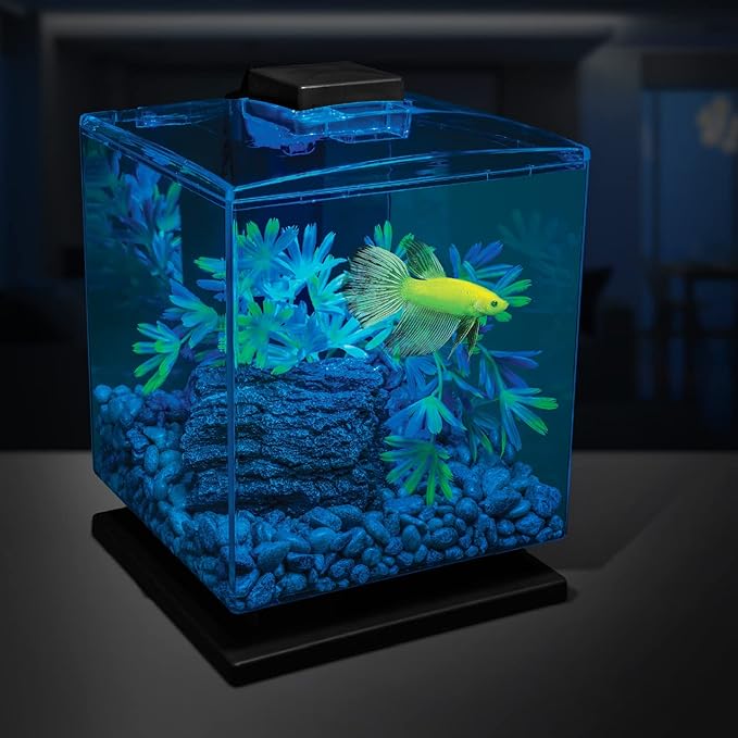 GloFish Aquarium Gravel, Pearlescent, Complements Tanks and Décor, 5 Pounds - Image 4