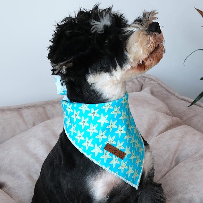 lionet paws Summer Dog Bandana Starfish - Image 2