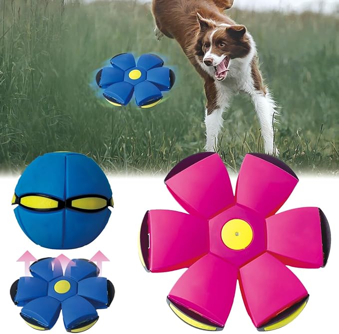 FlidRunest 2PCS Pet Toy Flying Saucer Ball, Flying Saucer Balls Dog Toy by BADWALT