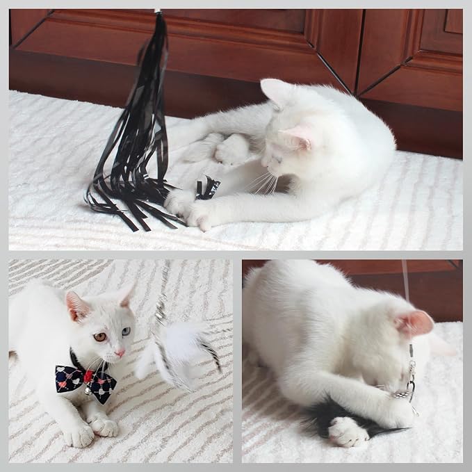 SONGWAY Cat Wand Toys for Indoor Cats - Image 6