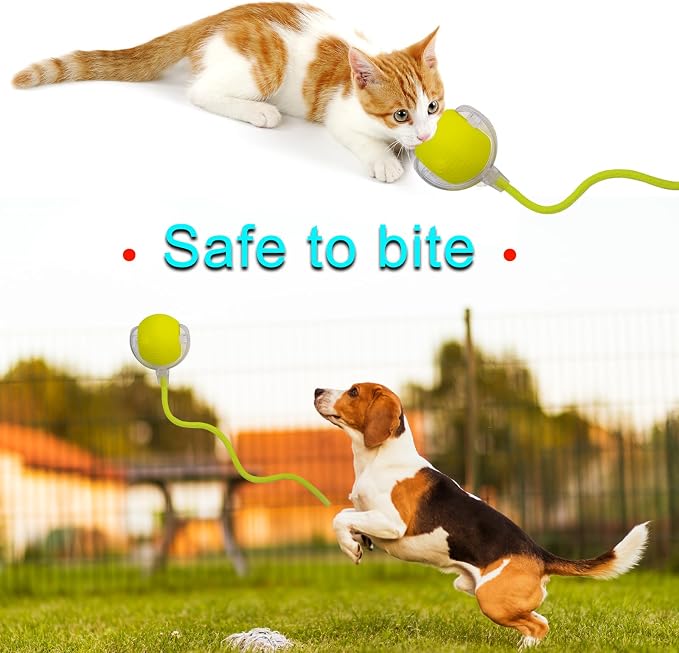 Interactive Cat Dog Toy Ball: Indoor Small Automatic Moving Smart Rolling Fun - Image 6