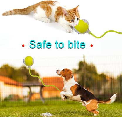 Interactive Cat Dog Toy Ball: Indoor Small Automatic Moving Smart Rolling Fun - Image 6
