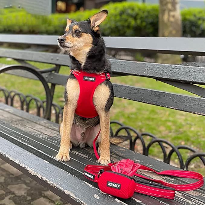 Best Pet Supplies Voyager Reflective Dog Leash or Collar - Image 6