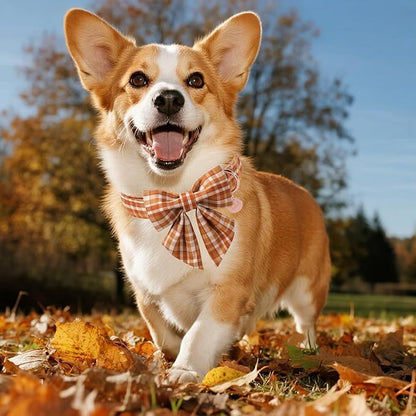 Fall Plaid Dog Collar and Bow Tie Set – Brown Orange Checkered Adjustable Collar - Image 4