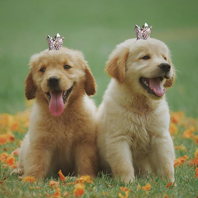 1PCS Crown Tiara Headband for Cat Dogs Puppy Birds Ducks Chicken Rabbit Hamster - Image 7